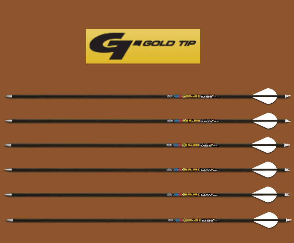 Gold Tip Traditional Spine Chart