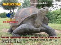 NF 3D TARGET Riesenschildkröte -  IFFA Gruppe 1