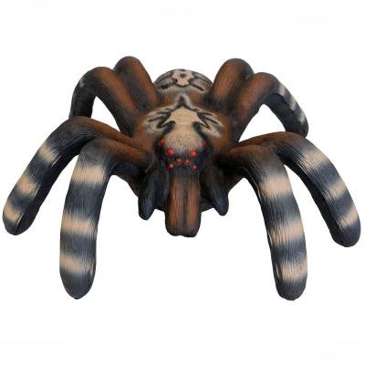 LG ANIMALS 3D-ZIEL KLEINE VOGELSPINNE
