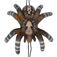 LG ANIMALS 3D-ZIEL KLEINE VOGELSPINNE