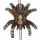 LG ANIMALS 3D-ZIEL KLEINE VOGELSPINNE