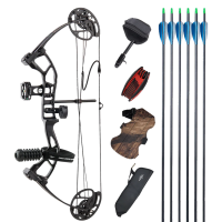 TOPOINT M2 SAS SUPREME COMPOUND BOW PACKAGE RH only