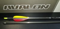 AVALON FERTIGPFEIL CARBON TYRO - 2,5" FEATHERS/...