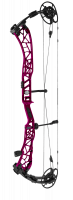 ELITE COMPOUNDBOGEN VICTRA 40 SPX2 CAM VX ROTATING MODULES
